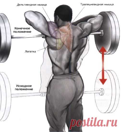 Тяга штанги к подбородку / Спорт Сильных!