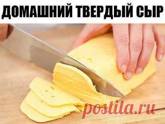 Домашний твердый сыр