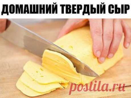 Домашний твердый сыр