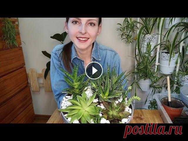 КОМПОЗИЦИЯ ИЗ СУККУЛЕНТОВ СВОИМИ РУКАМИ/ МИНИ-САДИК В этом видео я показываю, как сделать мини-садик из суккулентов своими руками. Это несложный процесс. Такая композиция станет прекрасным украшением ин...