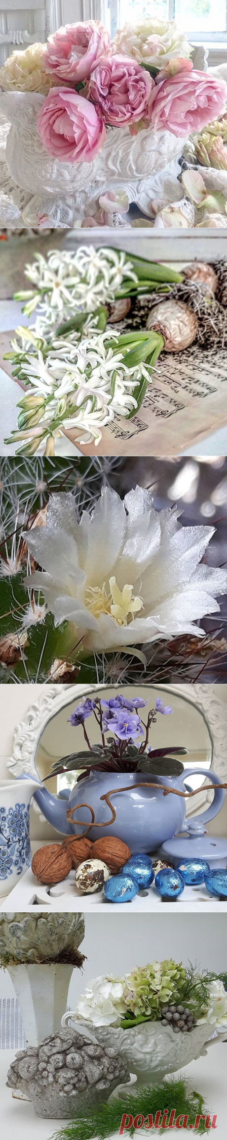 Pakira (@pakiradekor) • Фото и видео в Instagram