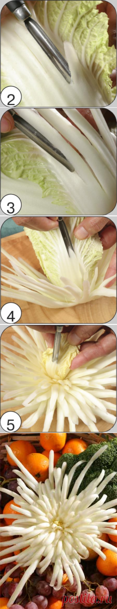 ХРИЗАНТЕМА из пекинской капусты