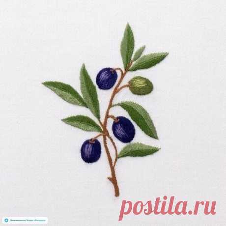 Эскизы для вышивки: ветка оливы