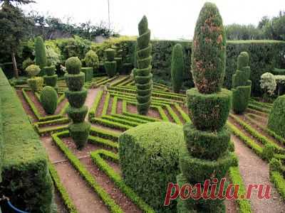 Funchal Botanical garden Wallpaper