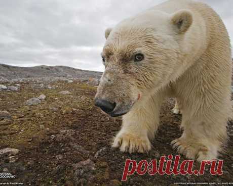 Мой Мир@Mail.Ru