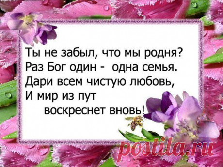 Мы Едины!