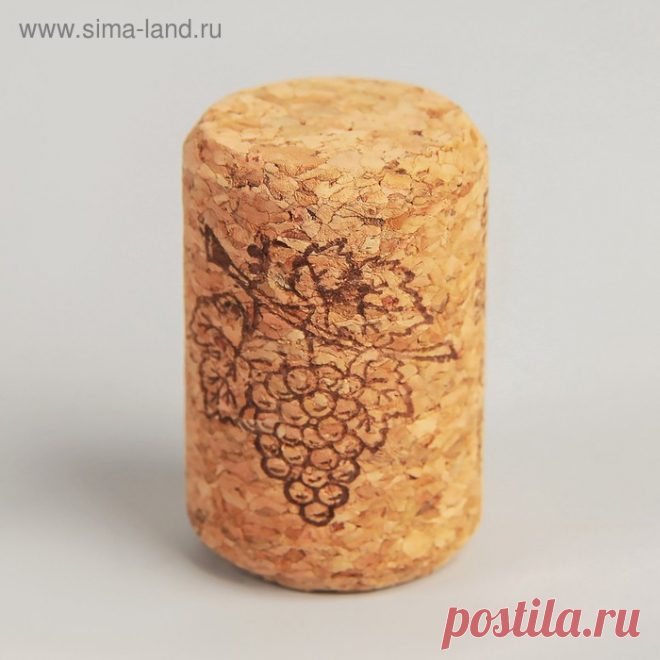 Пробка корковая агло 35×23 мм (4841085) - Купить по цене от 10.20 руб. | Интернет магазин SIMA-LAND.RU