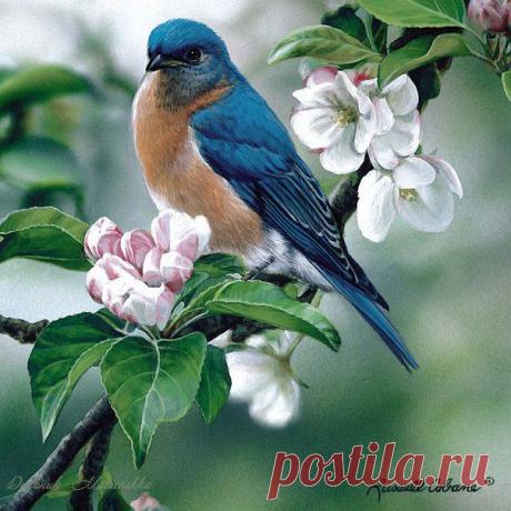 Картинки для декупажа, скрапа, коллажей | 981 фотография | ВКонтакте