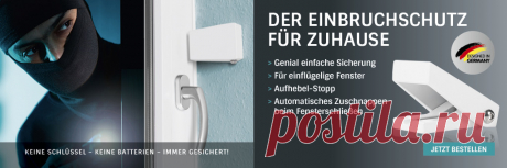 Fensterschnapper