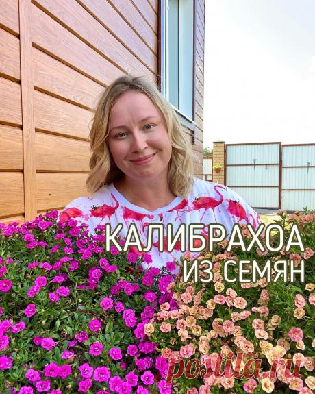 Photo by Домик окнами в сад🌿 on January 19, 2022. May be an image of flower and text that says 'калибрахоа из семян'.