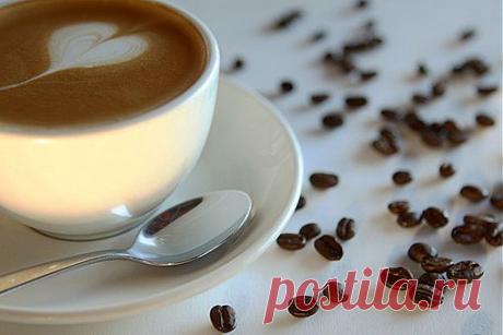 Завтрак с организатором | La amo