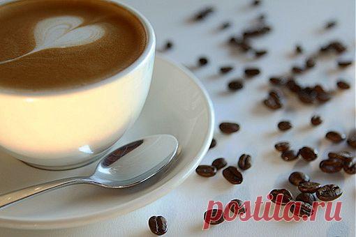 Завтрак с организатором | La amo