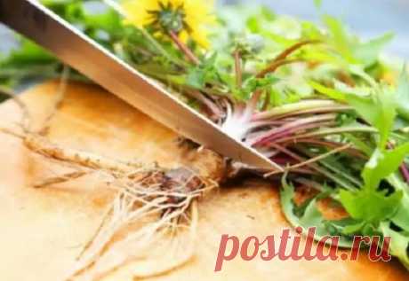 ВСЕГО 1 ЛИСТИК ЭТОЙ ТРАВЫ МОЖЕТ СПАСТИ ВАШУ ЖИЗНЬ, НО ТОЛЬКО НЕКОТОРЫЕ ЛЮДИ ЗНАЮТ, КАК ЕГО ИСПОЛЬЗОВАТЬ! — Домашний уют