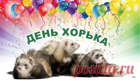 Поздравляю с днем хорька! Желаю, чтобы твой питомец был самым жизнерадостным, игривым и здоровым. Пусть он дарит позитив, уют и согревает своим пушистым теплом! Открытки на День хорька!