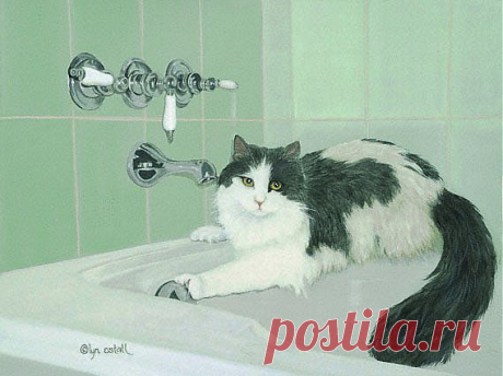 Лин Эстелл