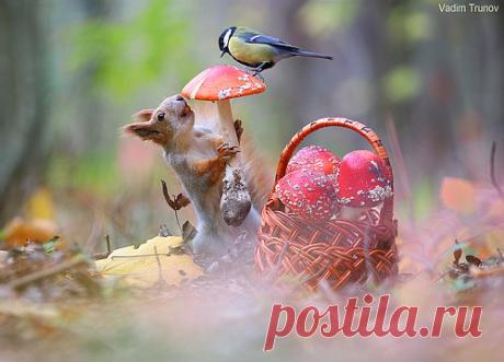 35PHOTO.ru