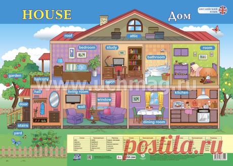 Учебный плакат. Английский язык. House. Дом: Формат А2 Плакат по теме "House. Дом" предназначен для изучения слов английского языка в ходе совместной со вз...