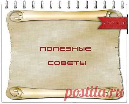 Полезные советы для домохозяек | Город женщин
