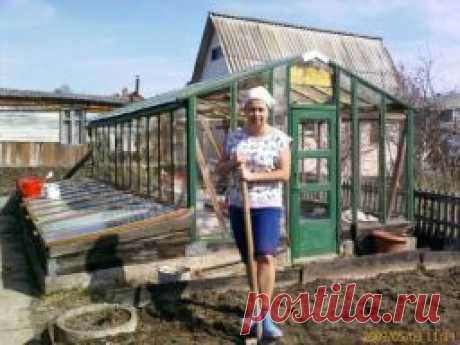 Небольшие советы дачникам и огородникам - Садоводка