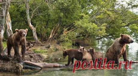 Мой Мир@Mail.Ru