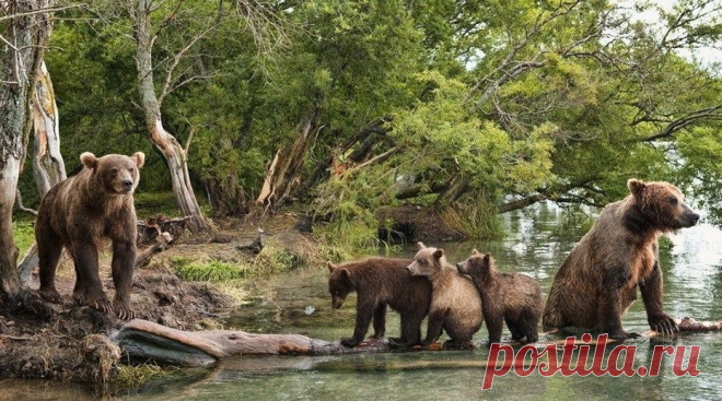 Мой Мир@Mail.Ru