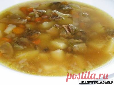 Рецепт: Куриный суп с грибами