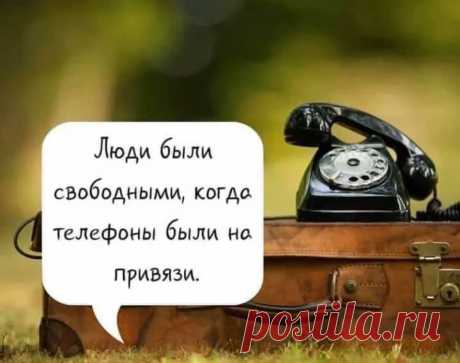 (8) Анна Лесникова