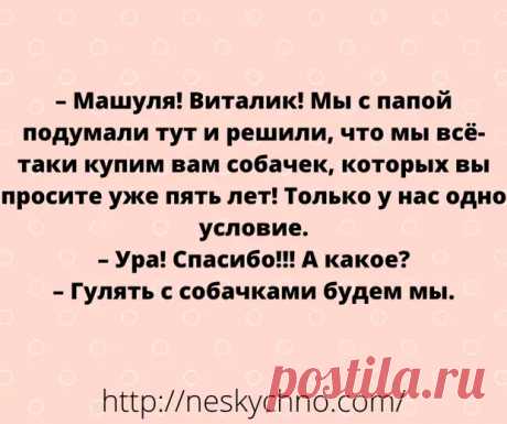 Коротенькие анекдоты, для быстрого поднятия настроения - Сказка для двоих - медиаплатформа МирТесен