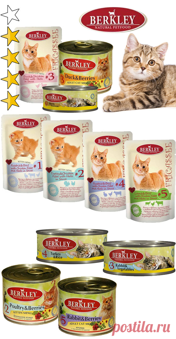 Корм для кошек Berkley (Беркли): обзор, виды, состав, отзывы