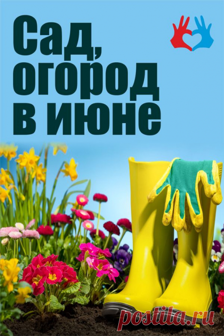 Сад, огород в июне | СЕКРЕТ | Дом и дача | садовый календарь