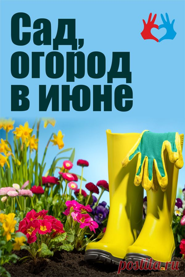 Сад, огород в июне | СЕКРЕТ | Дом и дача | садовый календарь