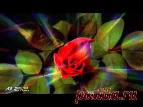 Michel Pépé - Fleur d'Amour