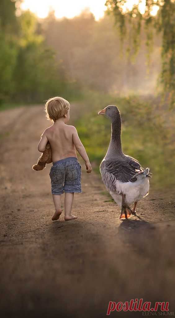 ** country living | Adorable Kids/Babies/and More