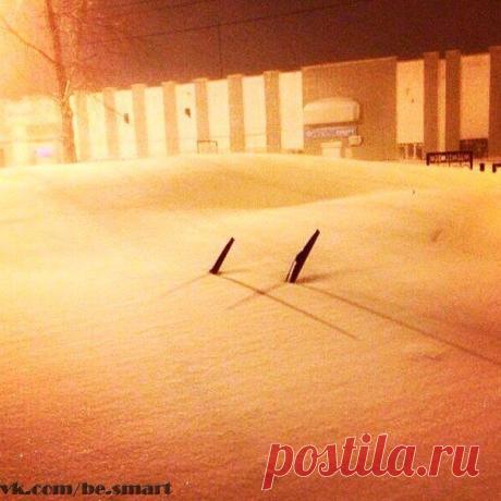 Диалоги