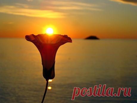 Фотографии на стене сообщества – 41 431 фотография
