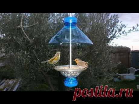 Como Hacer un Comedero para Pajaros / Comedero Aves