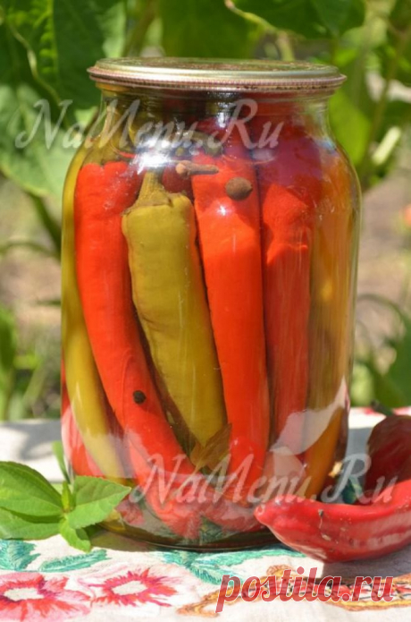 Маринованный горький перец на зиму