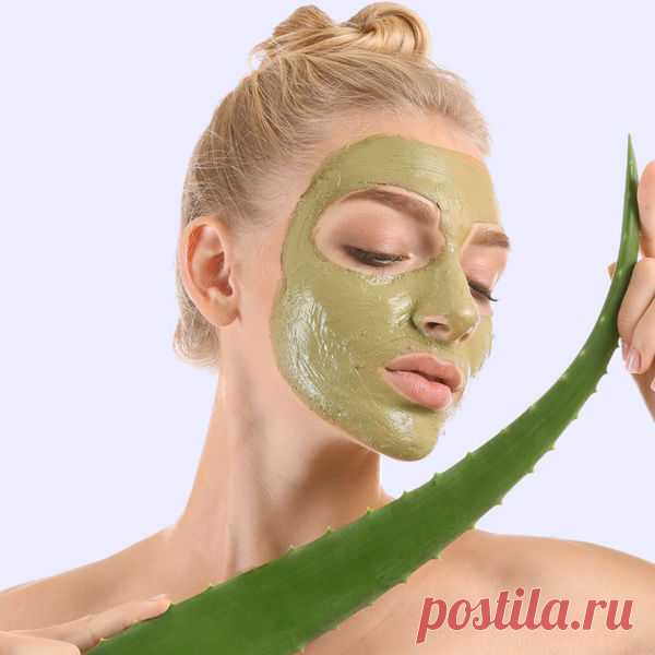 5 лучших масок с алоэ для лица - рецепты своими руками - Я Покупаю