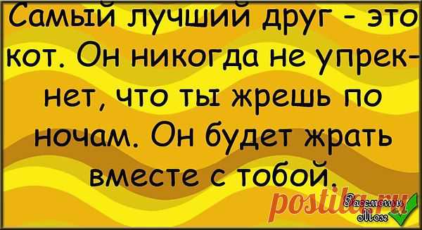 Интересные новости