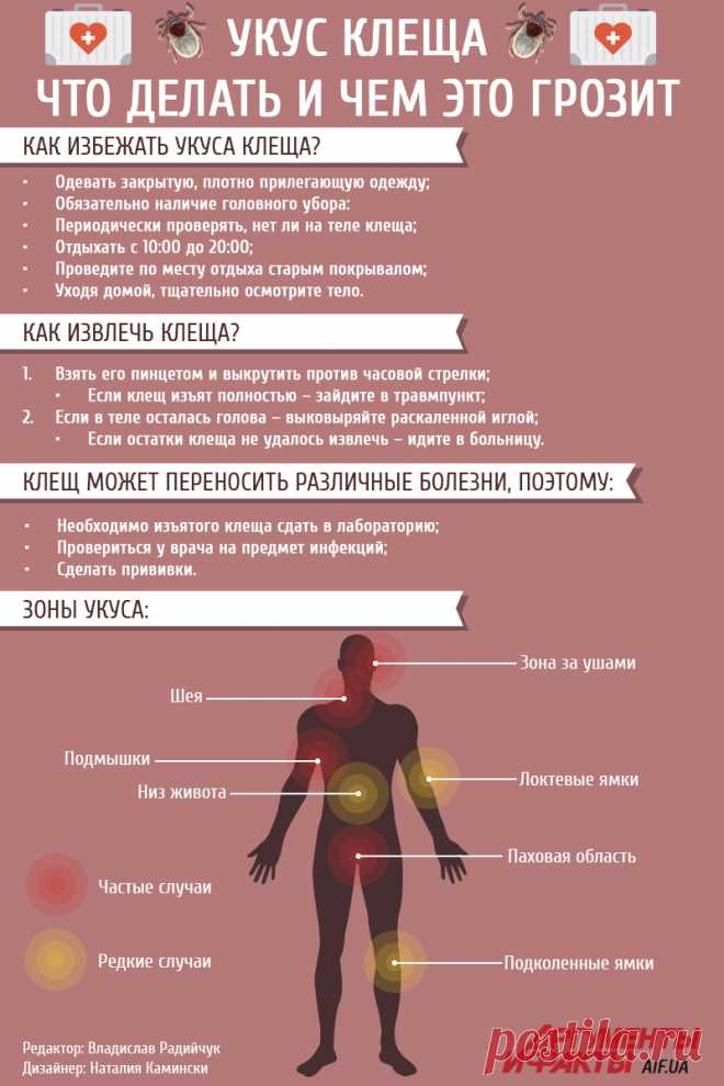 Как защититься от укуса клеща