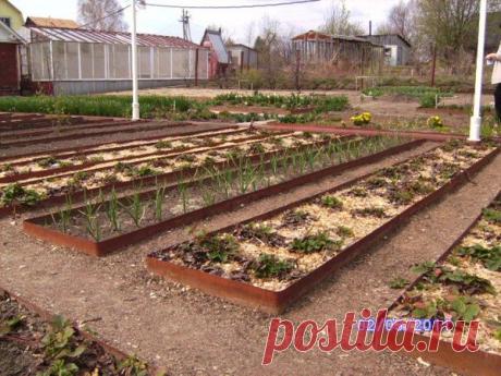 Ограждения для грядок: зачем, из чего и как / Огород / 7dach.ru
