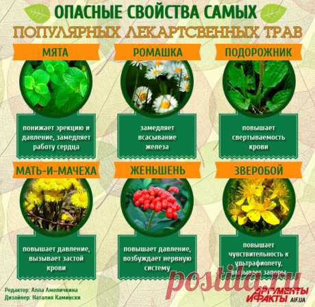 Опасные свойства самых популярных лекарственных трав