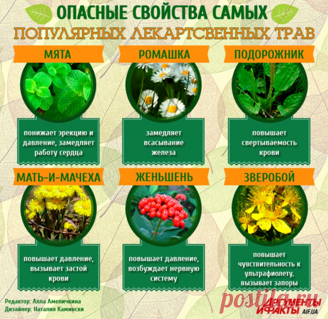 Опасные свойства самых популярных лекарственных трав