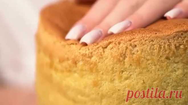 КЛАССИЧЕСКИЙ БИСКВИТ