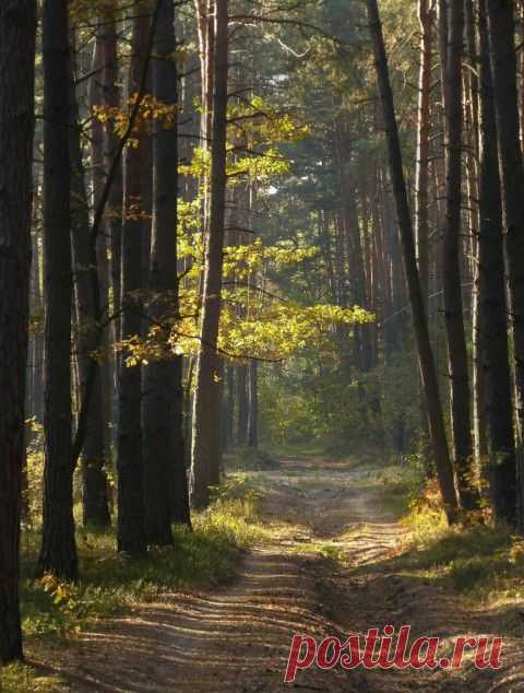 Природа планеты в