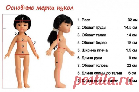 Основные мерки кукол - Кукольное ателье