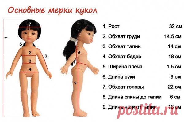 Основные мерки кукол - Кукольное ателье