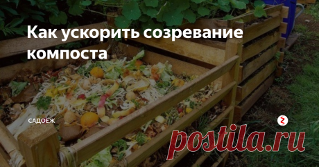 Как ускорить созревание компоста Что сделать сейчас, чтобы осенью компост был готов для внесения в почву