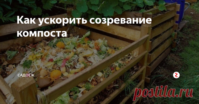 Как ускорить созревание компоста Что сделать сейчас, чтобы осенью компост был готов для внесения в почву