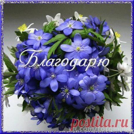 Мой Мир@Mail.Ru